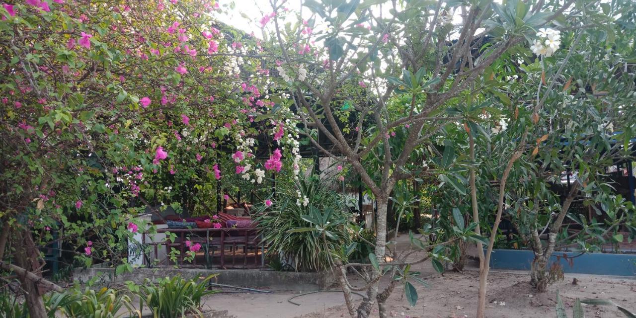 Banyan Tree Hostel Kampot Exteriér fotografie