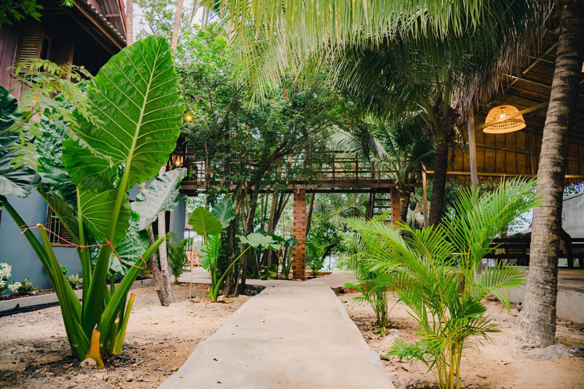 Banyan Tree Hostel Kampot Exteriér fotografie