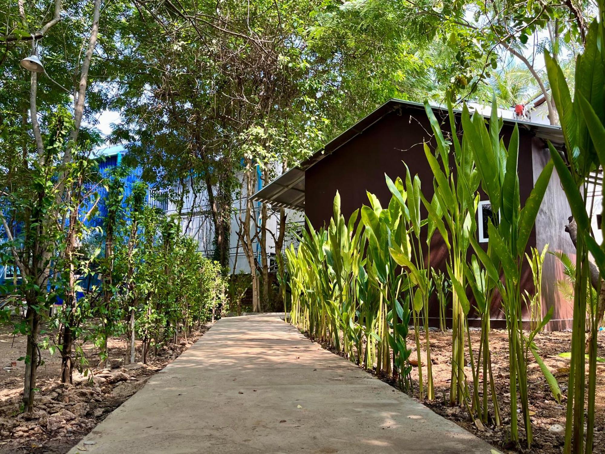 Banyan Tree Hostel Kampot Exteriér fotografie